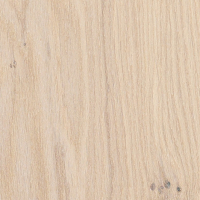 Дуб Белое Масло