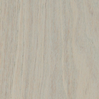 Дуб Перлина