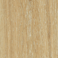 Дуб Платина