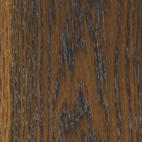 Дуб Седукцио