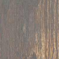 Дуб Шаби Шист