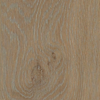 Дуб Фланель