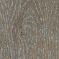 Дуб Дольмен