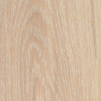 Дуб Белый Песчаник