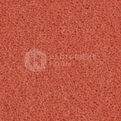 Ковролин Balsan Majestic 536, 4000 мм