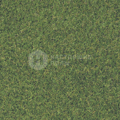 Искусственная трава Tarkett 650858001 Prado, 4000 мм