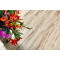 SPC плитка замковая Alpine Floor Real Wood ЕСО 2-8 Дуб Канадский, 1220*183*6 мм