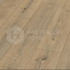 EC2018 Дуб Зевс