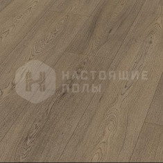 EC2020 Дуб Инвернесс