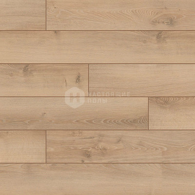 Ламинат Classen Essentials WR 52679 Вестгейт, 1285*158*8 мм
