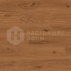 Дуб Camel однополосный