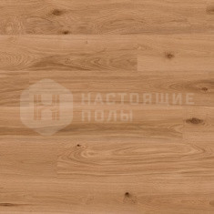 Дуб Blond однополосный