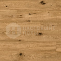 Дуб Antique однополосный