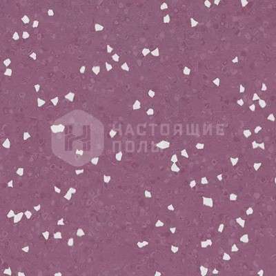 Линолеум гомогенный коммерческий антистатический Forbo Sphera SD 550034 amethyst, 2000 мм