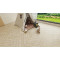 Ламинат Alpine Floor Herringbone 12 LF105-03 Дуб Лацио, 600*100*12 мм