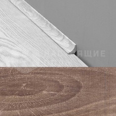 19*19 703 Дуб замковый старый