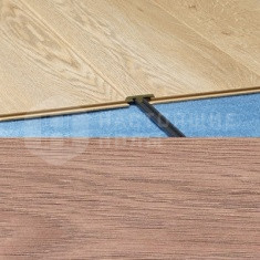 545 Дуб фламандский старинный