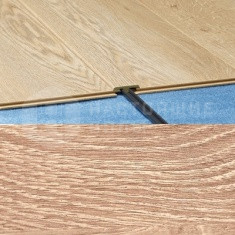 692 Дуб имперский