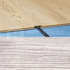 693 Сосна обветренная