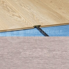 699 Дерево Транзит