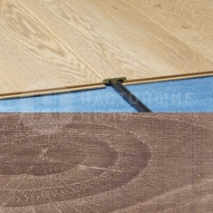 703 Дуб замковый старый