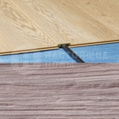 704 Сосна причальная