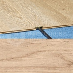 748 Дуб Берлингтон