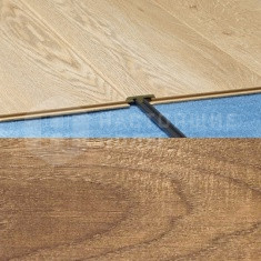 907 Дуб Шерлок