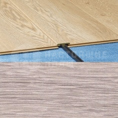 925 Дуб Севенны