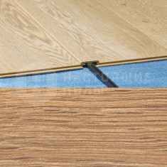 926 Дуб Симба