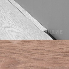 545 Дуб фламандский старинный