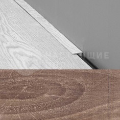 703 Дуб замковый старый