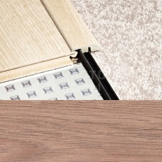 545 Дуб фламандский старинный