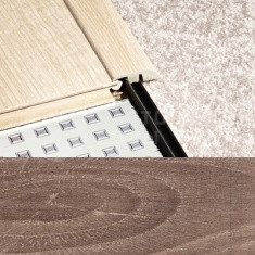 703 Дуб замковый старый