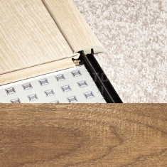 907 Дуб Шерлок