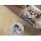 ПВХ плитка замковая Pergo Glomma pad pro V4431-40180 Дуб Эйфель натуральный, 1494*209*6 мм