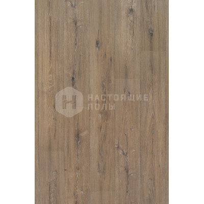 Ламинат BerryAlloc Empire 3800-3243 Дуб Миллениум Натуральный