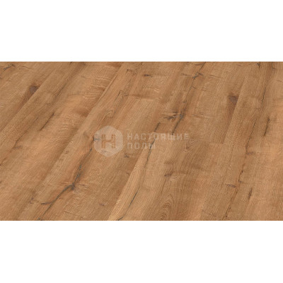 ПВХ плитка клеевая Wineo 400 wood XL DB129WXL Дуб насыщенный уютный, 1505*235*2 мм