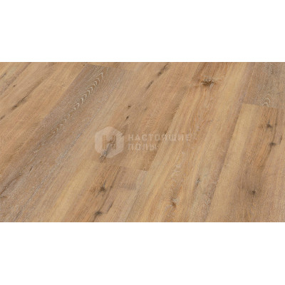 ПВХ плитка клеевая Wineo 400 wood XL DB126WXL Дуб радостный мягкий, 1505*235*2 мм