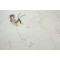 SPC плитка Icon floor Marble XL MLX72 Доломит Кандински, 900*450*5 мм