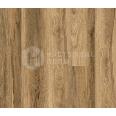 SPC плитка замковая Alpine Floor Nut ECO 22-3 MC Ногал, 1220*183*4 мм