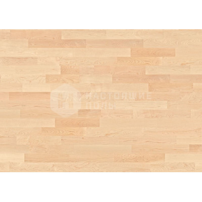 Спортивный паркет Boen Boflex Olympia 10036197 Канадский Клен под лаком, 2200*137*30 мм