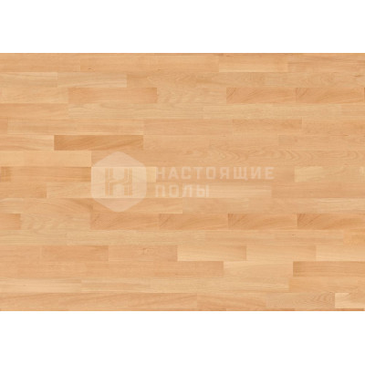Спортивный паркет Boen Boflex Olympia 10036176 Бук под лаком, 2200*137*30 мм