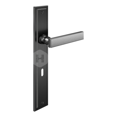 Дверная ручка на планке с отверстием под ключ буратино dnd Lucrezia 02 LT10P PGS