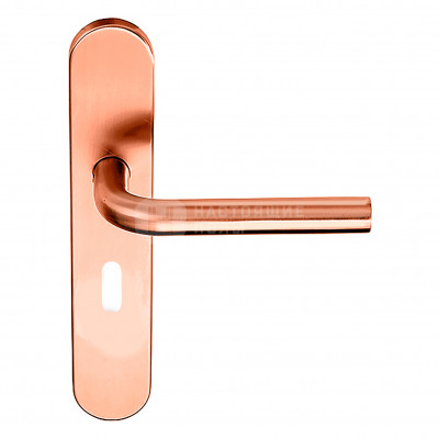 Дверная ручка Formani Basics 1501D242IKXX0N LB2-19P13N IK