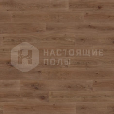 MLP312R Дуб Благородный Шоколад, 1520*238*9 мм