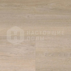 MLP097R Радость за Лизу, 1845*237*9 мм