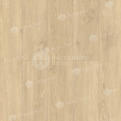 ПВХ плитка клеевая Alpine Floor Easy Line ЕСО 3-31 Камфора, 1219.2*184.15*3 мм