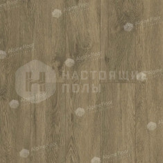 ECO 11-1102 Маслина, 1219.2*184.15*2.5 мм