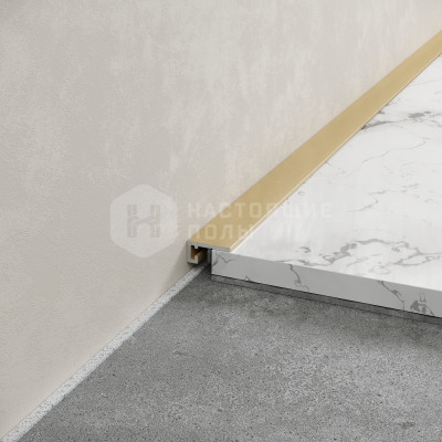 Металлический плинтус Laconistiq 11-14/1-200 micro 11 mini Gold Edition анодированный, 2000*5*11 мм